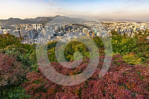 View of Seoul city from the top of Namsan