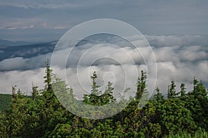 View from  Serak in Jeseniky mountains on a summer foggy morning and  sea of clouds around mountain peak