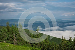 View from  Serak in Jeseniky mountains on a summer foggy morning and  sea of clouds around mountain peak