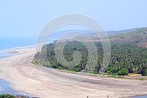 View of Serene Beach with Sea Waves with Pine Trees from Top - Anjarle Beach, Konkan, India photo