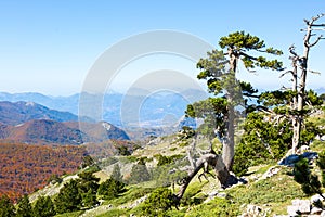View from Serra Di Crispo, Pollino National Park,  southern Apennine Mountains, Italy photo