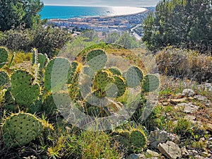 View at Sete from the Mount of St. Clair