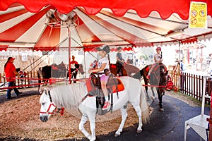 Fair pony ride