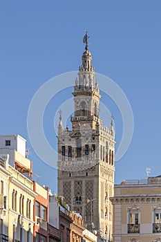 View of Seville Cathedral of Saint Mary of the See Seville Cathedral  with Giralda tower