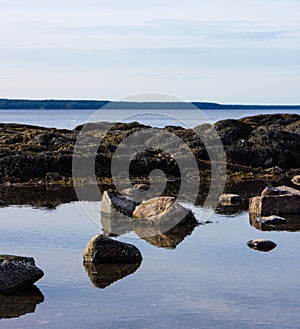 View of a shallow tidal pool in the foreground with Penobscot Bay in the background