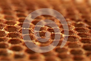 View on shape cell an honeycomb.