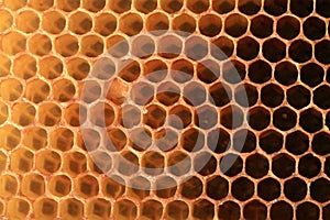 View on shape cell an honeycomb.