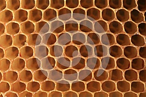 View on shape cell an honeycomb.