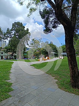View at Shatin park, HongKong