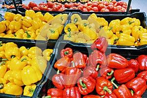 View of a shelf with vegetables in a supermarket or market, food background