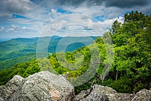 View of the Shenandoah Valley and Blue Ridge Mountains from the