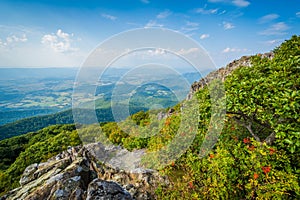 View of the Shenandoah Valley and Blue Ridge from Stony Man Mountain, in Shenandoah National Park, Virginia.