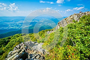 View of the Shenandoah Valley and Blue Ridge from Stony Man Mountain, in Shenandoah National Park, Virginia.