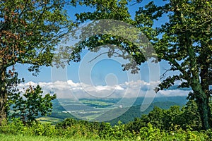 View of Shenandoah Valley Framed by Two Trees
