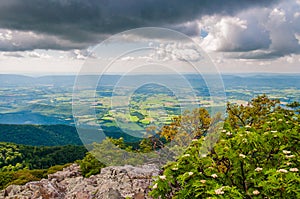 View of the Shenandoah Valley from Stony Man Mountain, in Shenandoah National Park, Virginia.