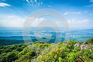 View of the Shenandoah Valley from Stony Man Mountain, in Shenandoah National Park, Virginia.