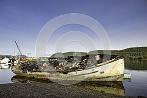 View of shipwreck on Ladysmith marina, taken in Victoria Island, BC, Canada photo