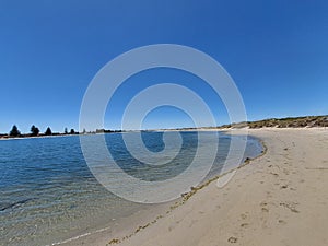 view of shoalwater beach and pine trees in the background