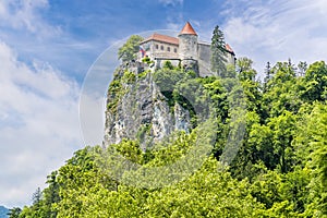 A view from the shore of Lake Bled looking up at the castle in Bled, Slovenia