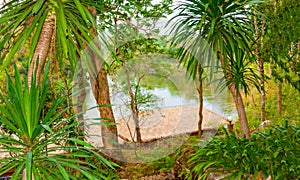 The view from the shore through palm trees on the River Kwai. Th