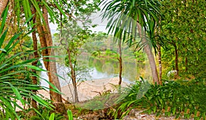 The view from the shore through palm trees on the River Kwai. Th