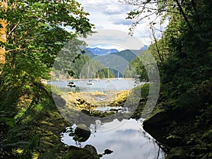 A view from the shore in Roscoe Bay, in Desolation Sound, Britis