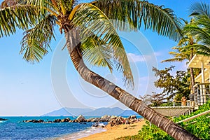 View of the shore of the South China Sea with a sandy beach, large rocks and green palm trees. Sanya, China.