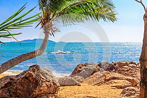 View of the shore of the South China Sea with a sandy beach, large rocks and green palm trees. Sanya, China.