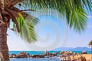 View of the shore of the South China Sea with a sandy beach, large rocks and green palm trees. Sanya, China.