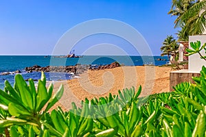 View of the shore of the South China Sea with a sandy beach, palm trees and plants, large stones.