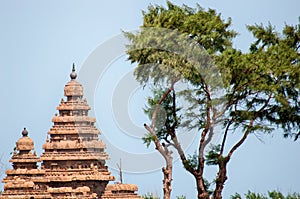 View of Shore Temple, Mahabalipuram in India