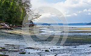 Dash Point Park Shoreline 2
