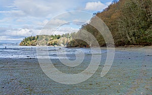 Dash Point Park Shoreline 4