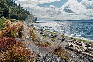 Seahurst Beach Shoreline 2