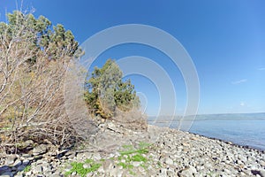 View of the shores of the Sea of Galilee near the Capernaum