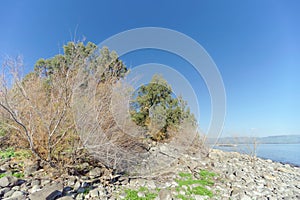 View of the shores of the Sea of Galilee near the Capernaum