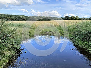 A view of the Shropshire Countryside near Ellesmere