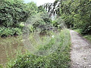 A view of the Shropshire Union Canal near Ellesmere