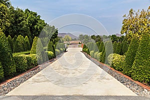 View of shrub trimming ornamental in public green park and grass field