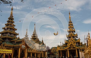 View of Shwedagon Pagoda, Yangon, Myanmar photo