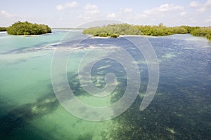 View of Sian Ka'an wiliderness