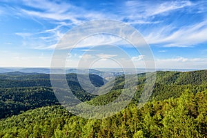 View of Siberian taiga in June.