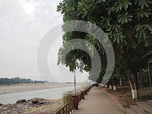 view of sidewalk lined by trees along the coastline in Chenab river Akhnoor
