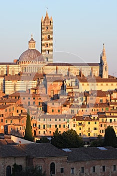 View on Siena cathedral