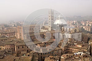 View Siena From Torre Del Mangia