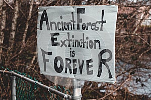 View of sign Ancient Forest Extinction is Forever attached to the fence in Courtenay, Canada