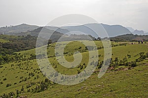 View of Simion mountains.