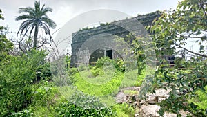View of the Sinhagad Fort