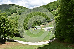 View of ski resort green