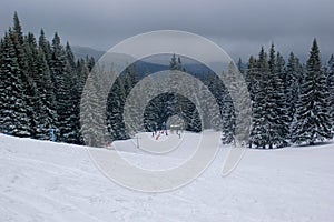 View from a skiing slope in Dragobrat, Ukraine